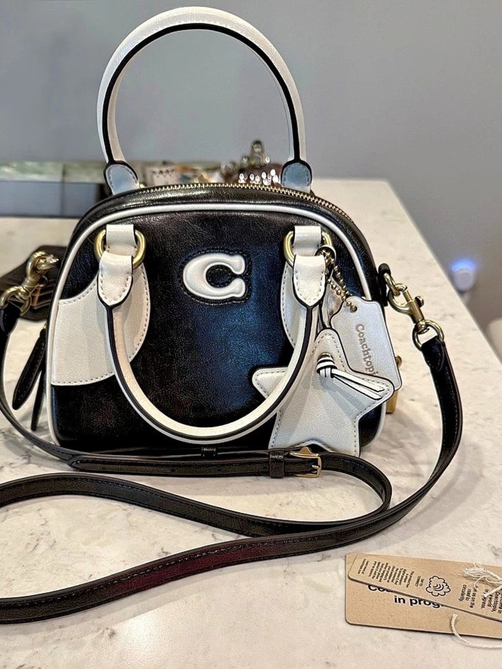 Coachtopia Bowling top handle bag